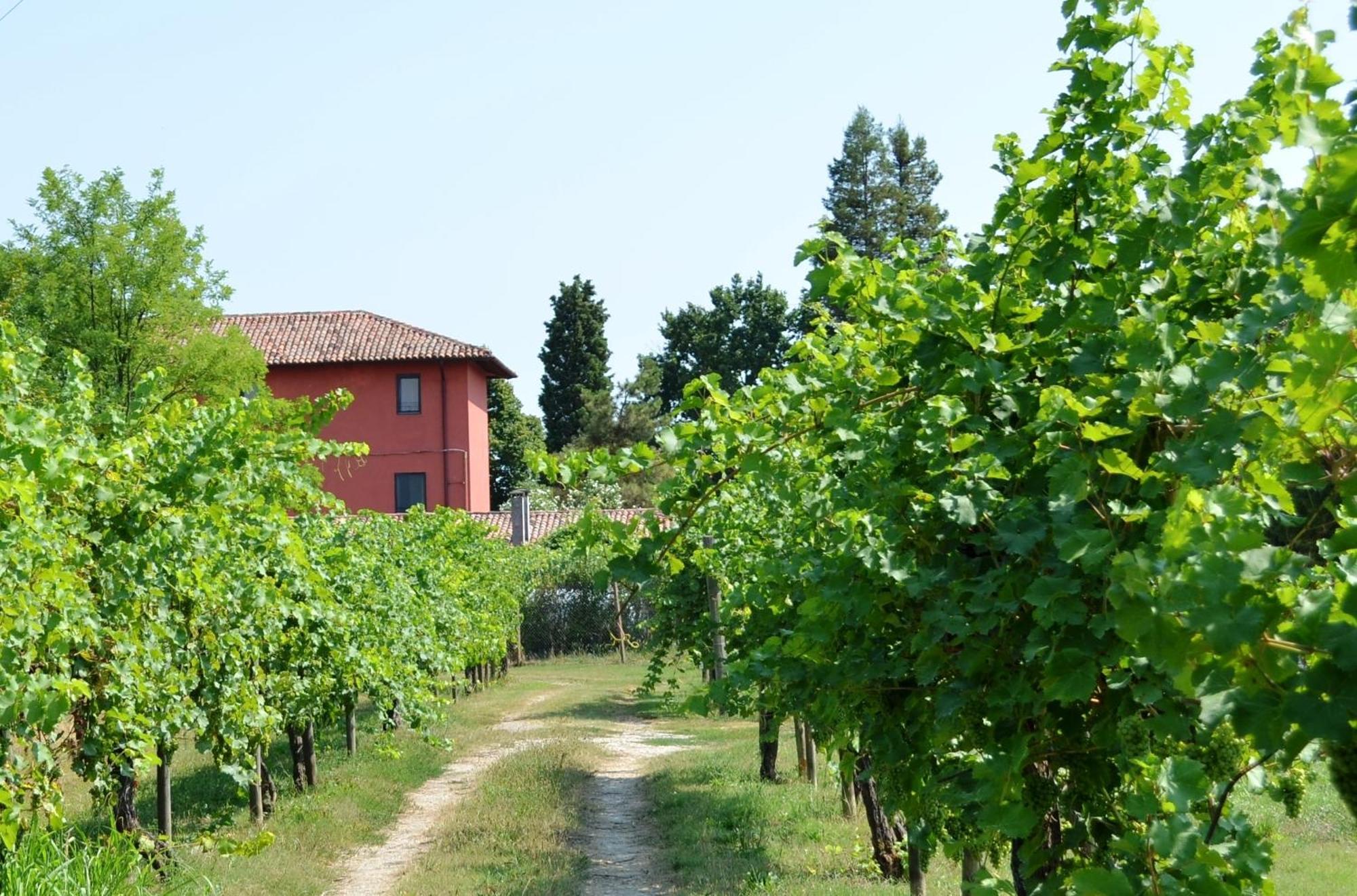 Agriturismo Isola Augusta Palazzolo dello Stella ภายนอก รูปภาพ